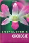 Encyklopedie Orchideje
