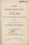 Toldts anatomischer atlas 2