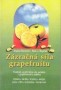Zázračná síla grapefruitu