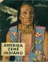 Amerika země indiánů